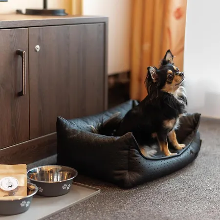 Familienapartment Mit Panoramablick Zur Frauenkirche *