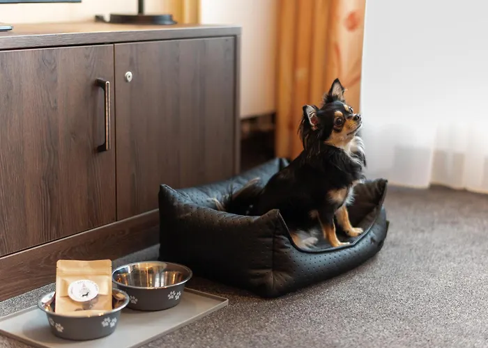 Familienapartment Mit Panoramablick Zur Frauenkirche *